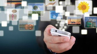 延吉市鵬大軟件科技 深耕網絡與信息安全軟件開發的專業力量